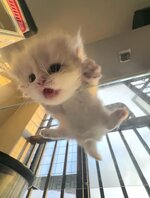 IMG_1174.jpeg